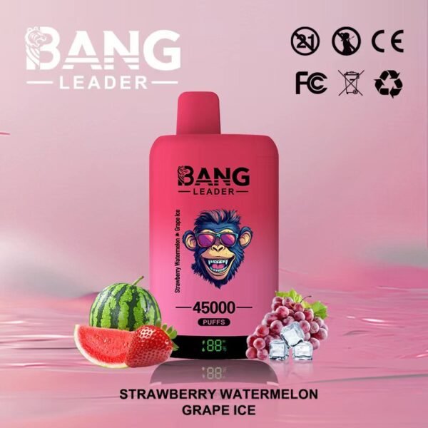 vape 45000 puffs bang leader 45000 Puffs