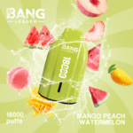 Bang leader 18000 puffs Wholesale Disposable Vape - Image 7