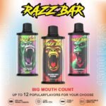 Wholesale Razz Bar 15k puffs Disposable Vape - Image 2