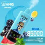 Bang leader 85k puffs Disposable vape wholesale - Image 5