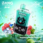 Bang leader Stoll 120K Puffs Double Flavor - Image 3