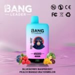 Bang Leader 45000 Puffs Dual Flavors Disposable vape - Image 5