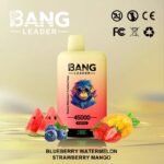 Bang Leader 45000 Puffs Dual Flavors Disposable vape - Image 2