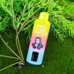 POCO PT18000 puffs Disposable vape - Image 4