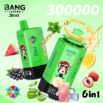 Bang leader stoll 300k 6-in-1 disposable vape