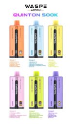 WASPE 10 in 1 Quinton 500K puffs disposable vape wholesale - Image 5