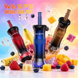 Waspe SHISHA 300K Puffs disposable Vape wholesale