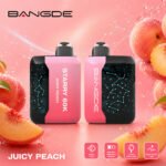 BangDE 60K Disposable Vape Wholesale Supplier for Vape Shops